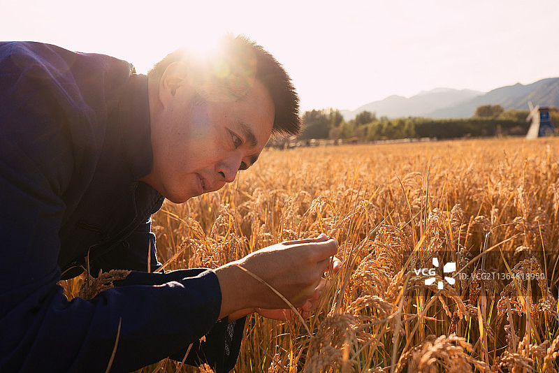 新时代青年农民在田野里图片素材