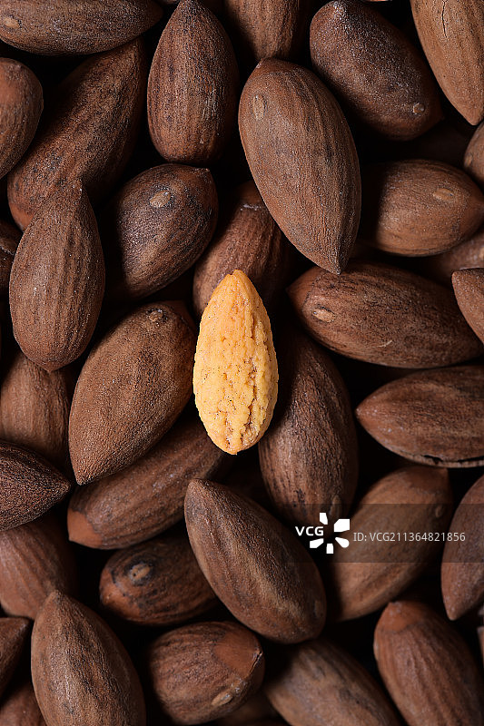 坚果 香榧图片素材