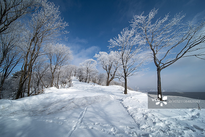 高山上的雾凇奇观图片素材