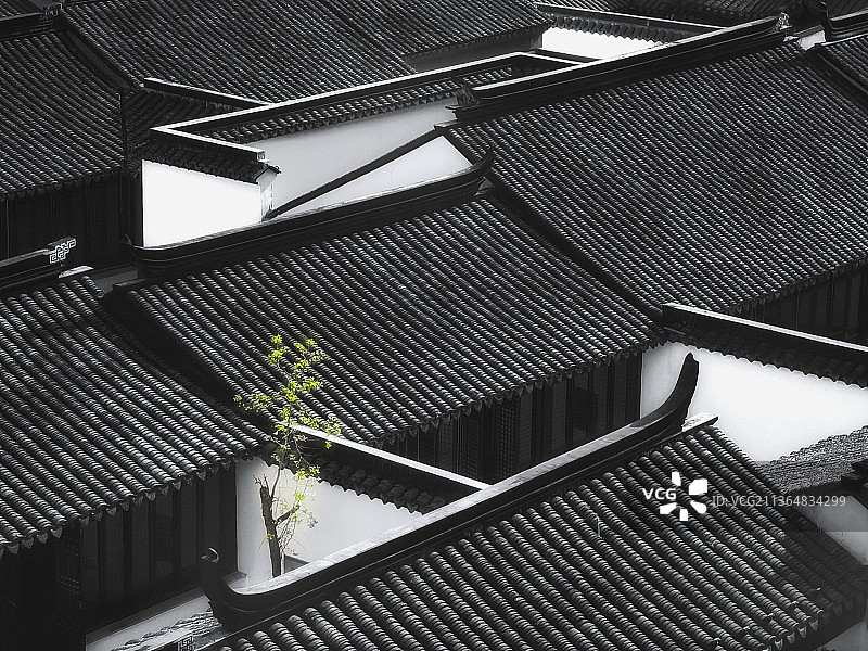 早春江苏无锡梁溪区小娄巷历史街区白墙黑瓦江南民居中的一抹新绿图片素材