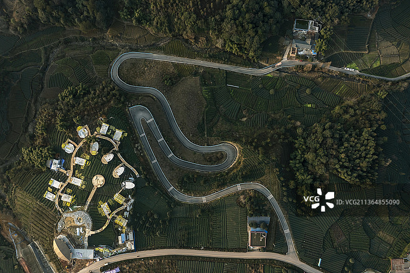 茶乡风光图片素材