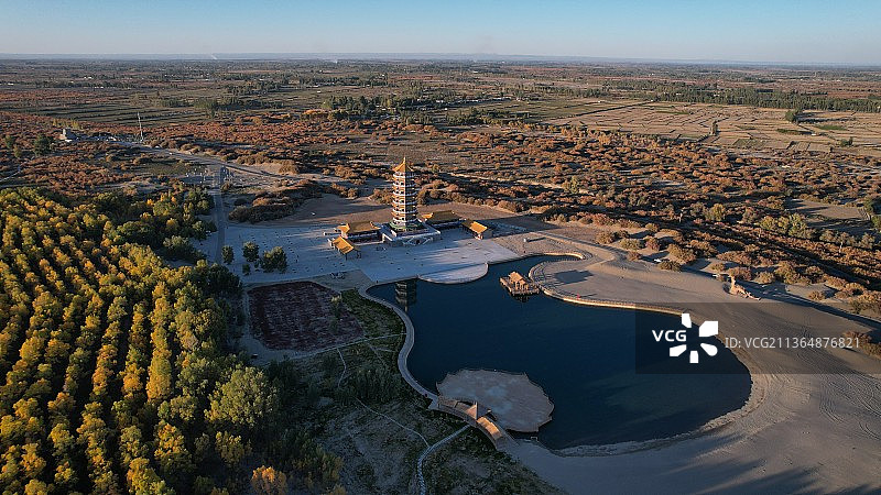 金塔胡杨林秋色图片素材