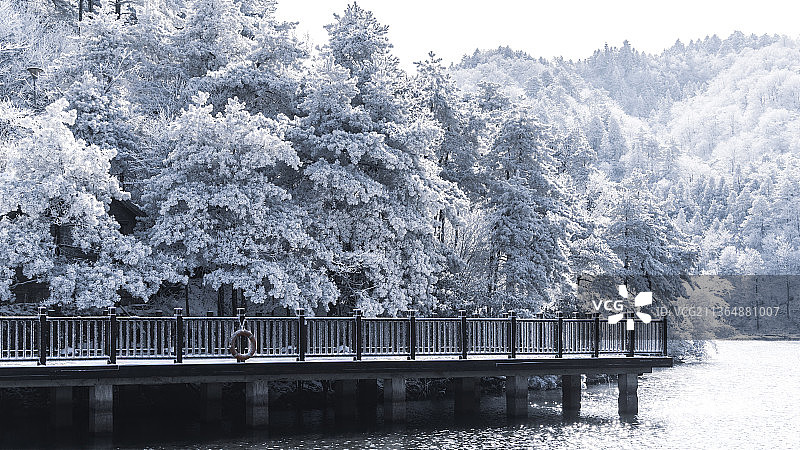 中国杭州大明山滑雪场风景区雪景云海山湖泊鸭子雾凇森林木屋树木观景平台图片素材