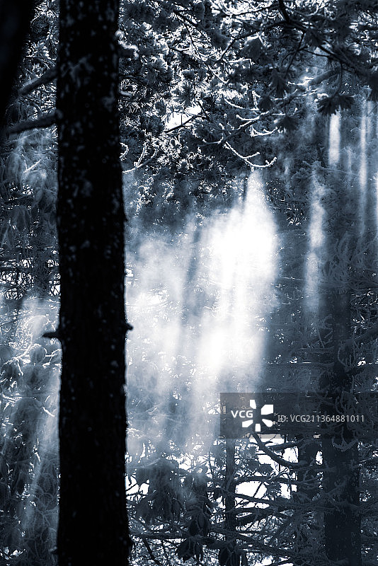 中国杭州大明山滑雪场风景区雪景云海山湖泊鸭子雾凇森林木屋树木观景平台图片素材