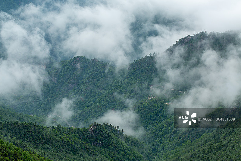 陕西省宝鸡市太白山国家森林公园秦岭云海图片素材