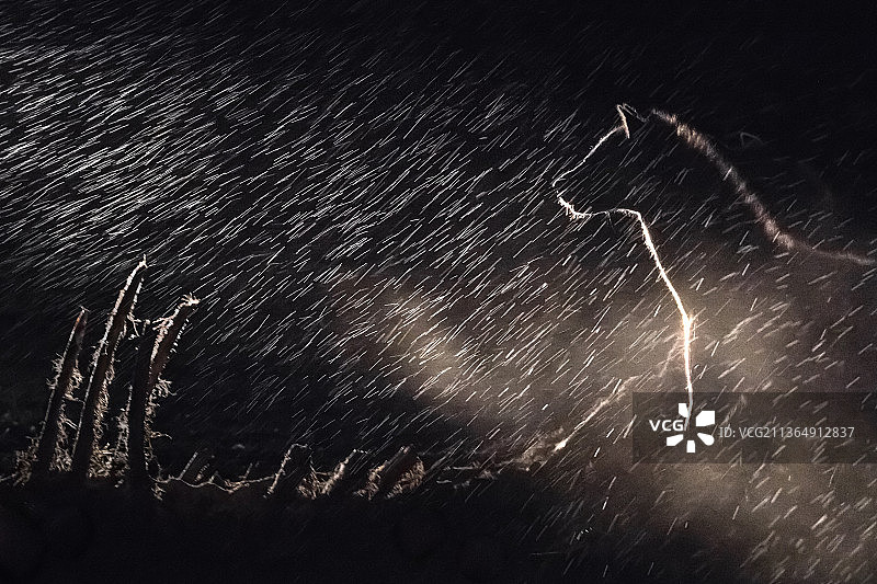 南非隆多洛齐禁猎区：斑鬣狗图片素材