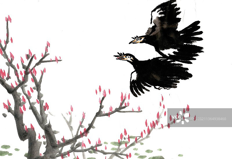 梅花与乌鸦图片素材