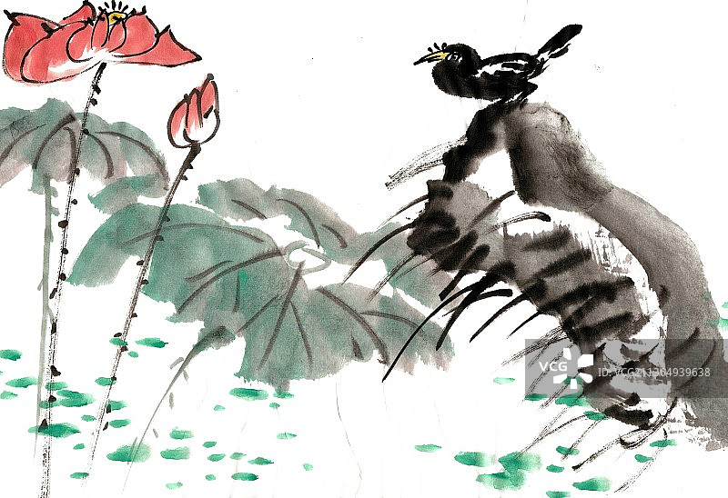 荷花与小鸟图片素材