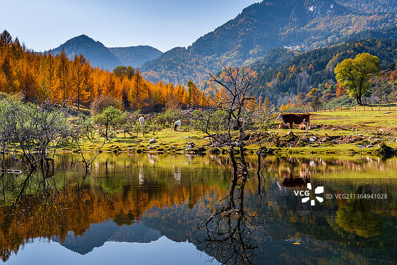 庞泉沟的秋天图片素材