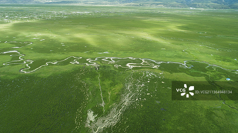 青藏高原草甸图片素材