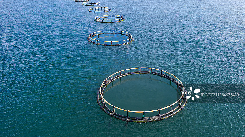青岛海洋牧场图片素材