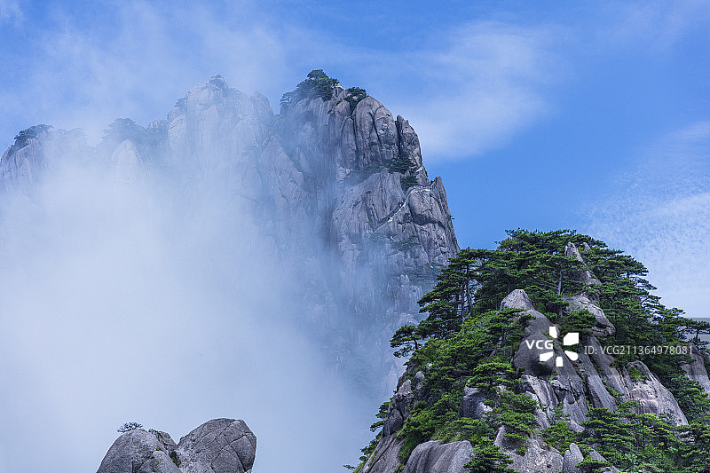 黄山松，黄山，奇峰，怪石，云海。图片素材