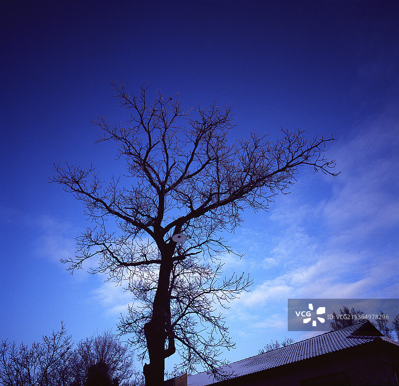 黑龙江，牡丹江市，镜泊湖冬景。图片素材