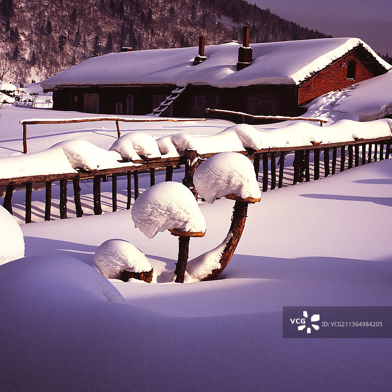 黑龙江牡丹江，雪乡风光，胶片摄影。图片素材
