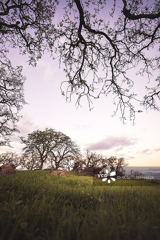 与自然重新连接，加利福尼亚州圣何塞的田野风光图片素材