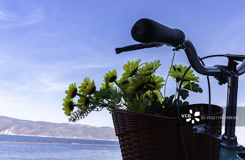 中国云南省大理市洱海边的自行车花车，鲜花装饰的单车图片素材