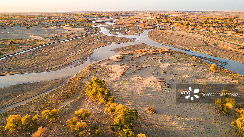 内蒙古额济纳旗黑水河畔胡杨林图片素材