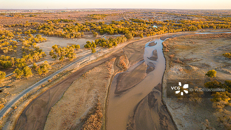 内蒙古额济纳旗黑水河畔胡杨林图片素材