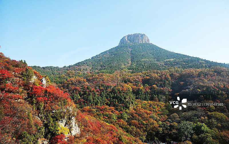 山东枣庄山亭区抱犊崮国家森林公园秋日美景图片素材