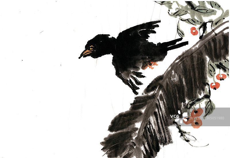 芭蕉叶与飞鸟图片素材