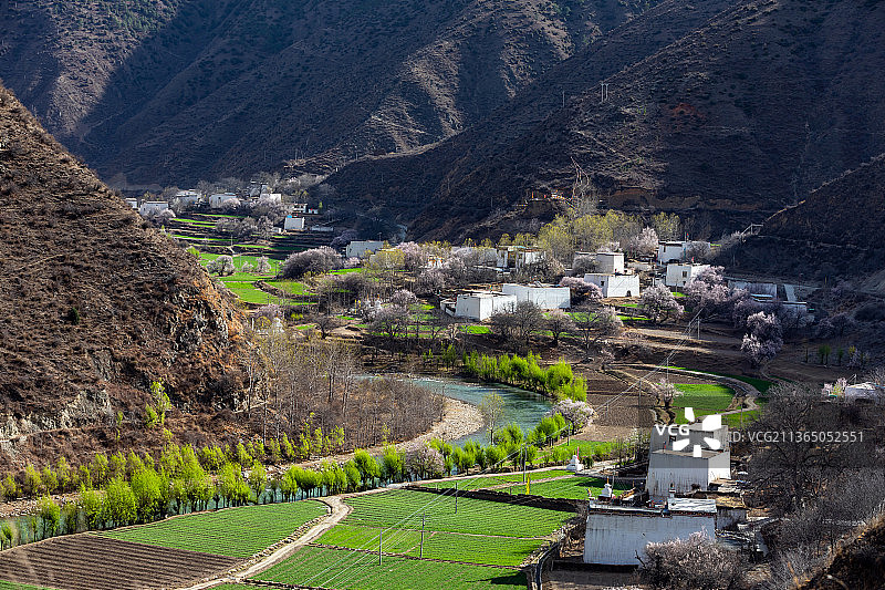 四川甘孜乡城县乡村图片素材