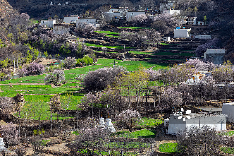 四川甘孜乡城县乡村图片素材