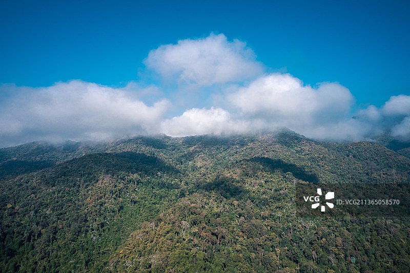 西双版纳曼掌村野象谷图片素材