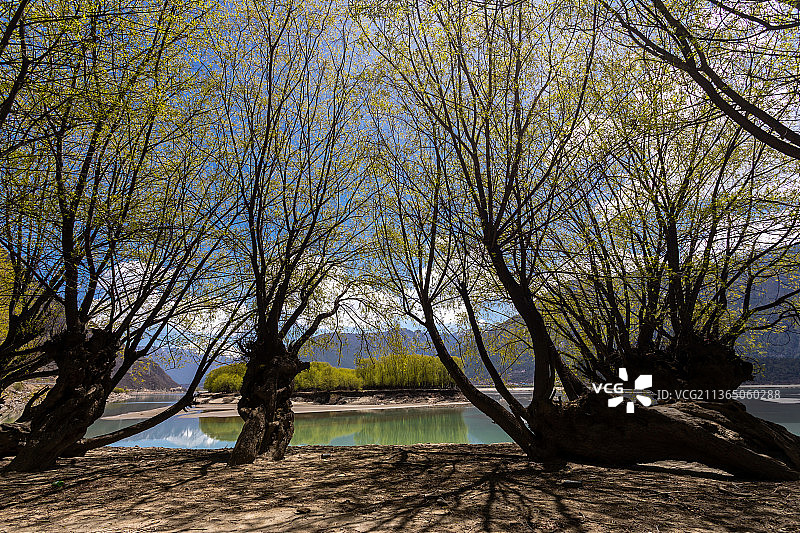 林芝米林尼洋河风光图片素材