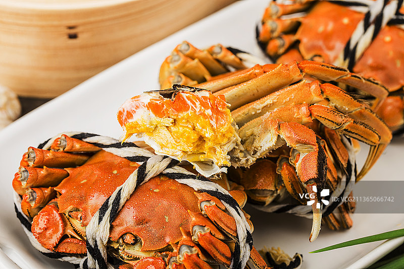 大闸蟹图片素材