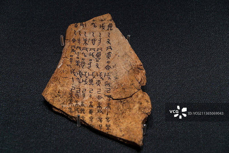 中国最早的文字，甲骨文图片素材