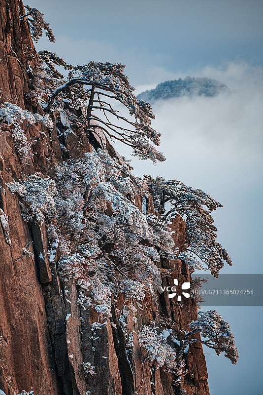 黄山雪后下雪安徽雪景冬季冬天冬雪光明顶始信峰莲花峰雪山仙境云雾云海图片素材