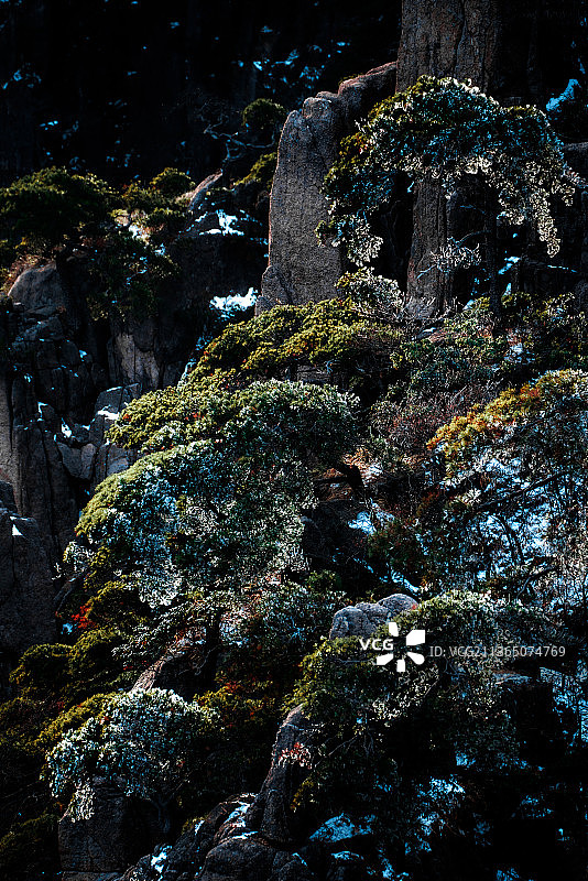 黄山雪后下雪安徽雪景冬季冬天冬雪光明顶始信峰莲花峰雪山仙境云雾云海图片素材