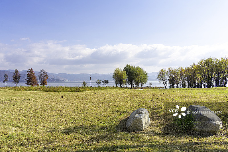中国云南省大理市洱海生态廊道秋天的草地和树图片素材