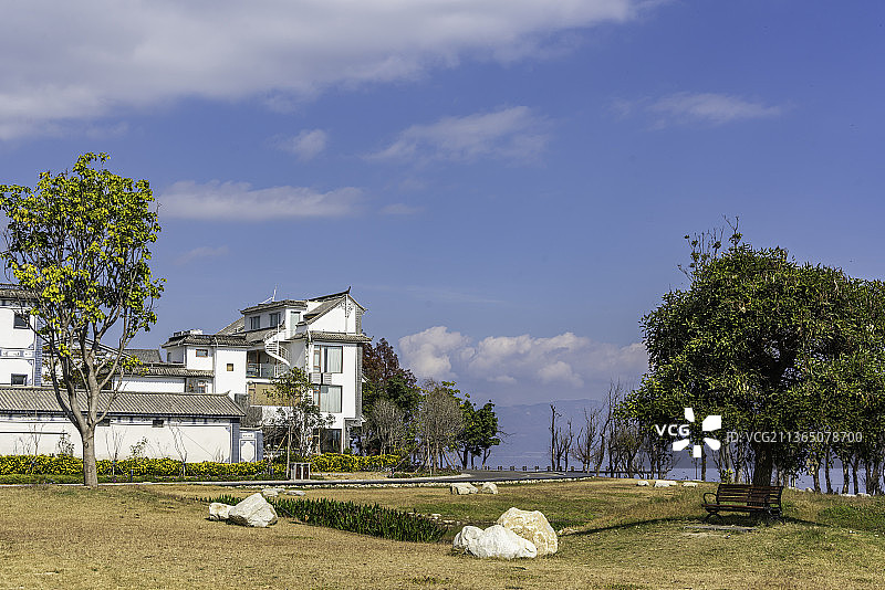 中国云南省大理市洱海生态廊道秋天的草地和树图片素材