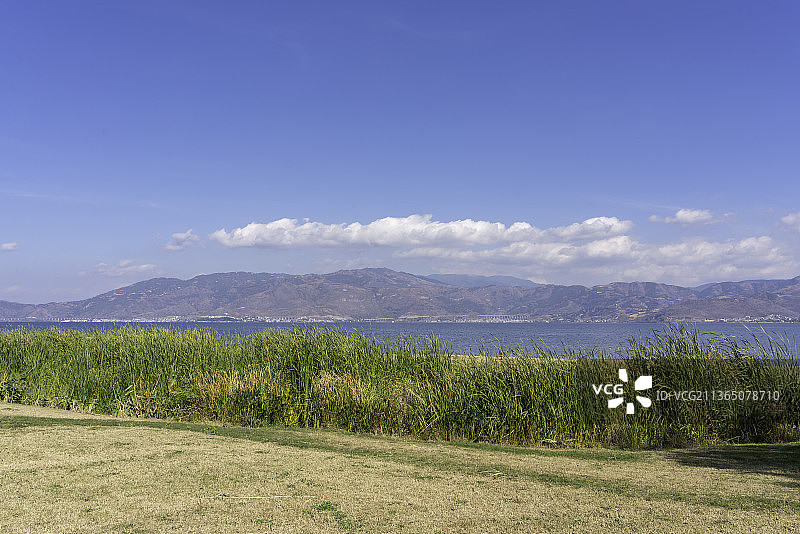中国云南省大理市洱海生态廊道秋天的草地和树图片素材