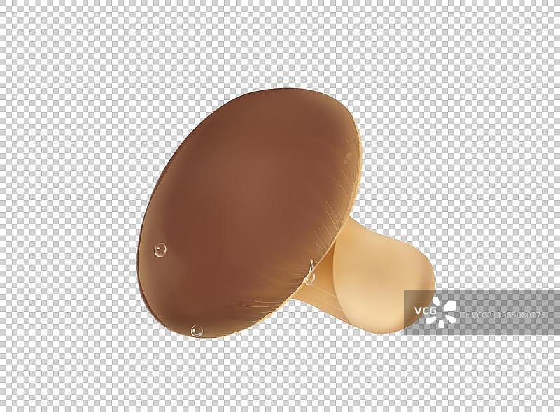 写实手绘蘑菇图片素材