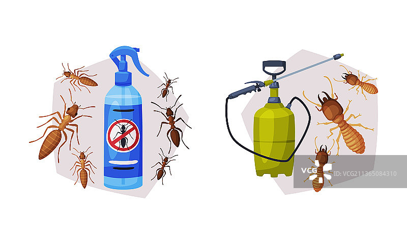 瓶装化学剂与蚂蚁害虫防治图片素材