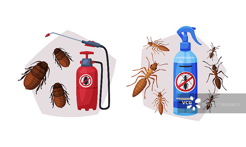 瓶装化学剂与蚂蚁害虫防治图片素材