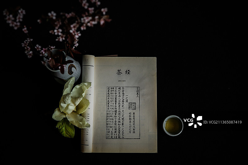 读茶经图片素材