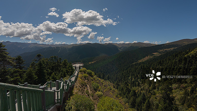 鲁朗林海图片素材