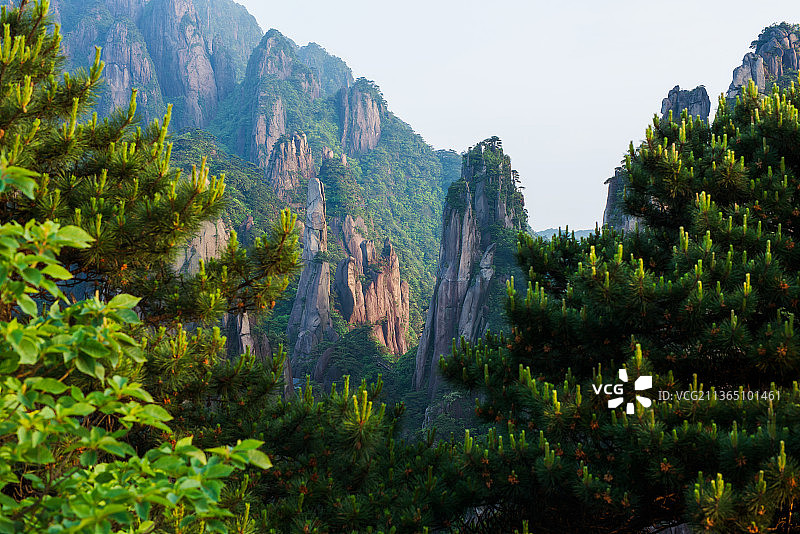 江西上饶三清山风景区林间风景图片素材