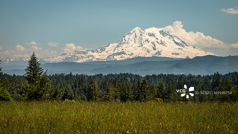 雷尼尔山，松树对天空的景色，塔科马，华盛顿，美国图片素材