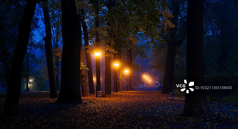 爱沙尼亚塔尔图雾蓝色公园图片素材