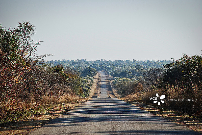 从光明开始：赞比亚树木林立的空旷道路图片素材