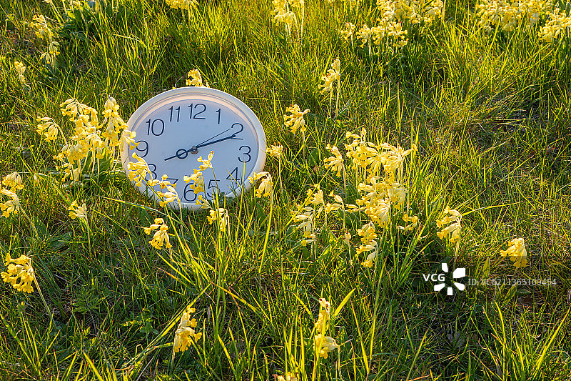 田野上时钟的特写，丹麦海泽胡斯ene Tranemosevej图片素材