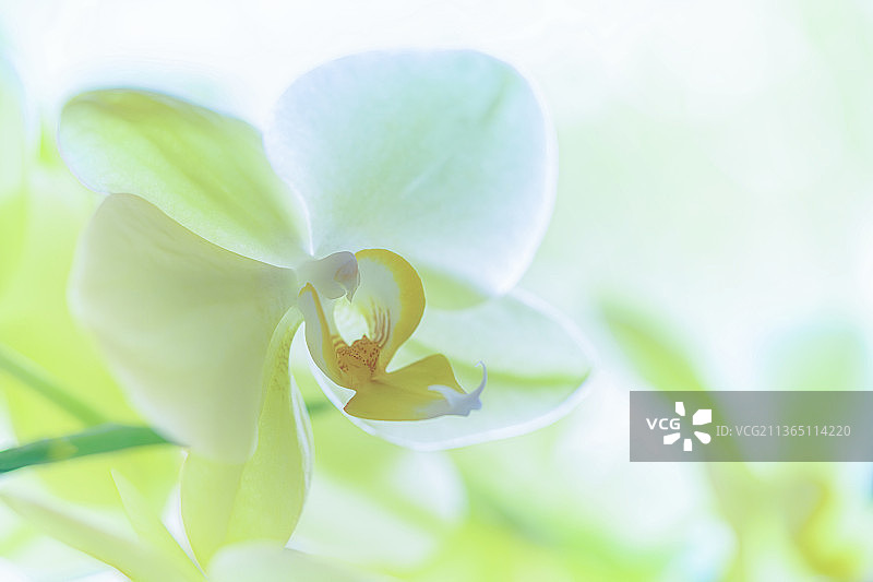 你将在光明之中图片素材