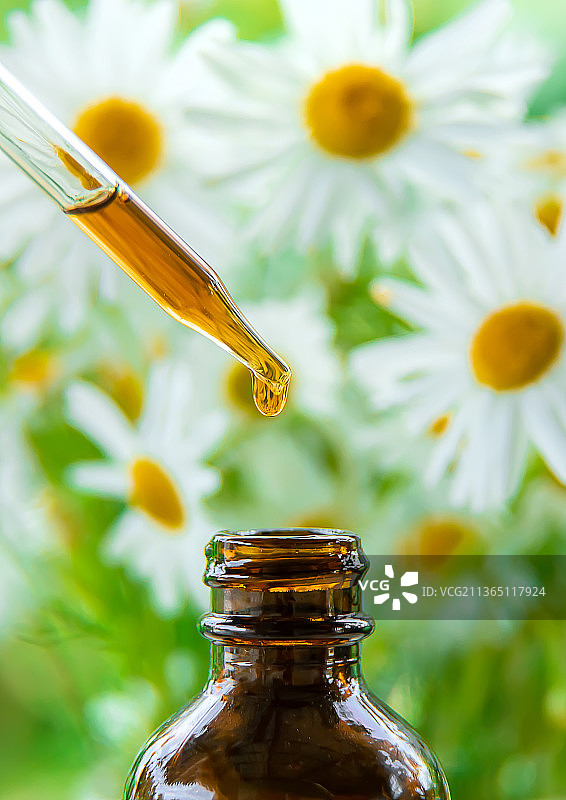 滴管中的洋甘菊提取物酊剂，选择性聚焦图片素材