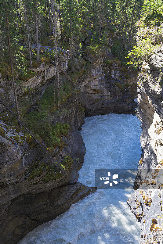 加拿大阿萨巴斯卡森林中树木环绕的河流高角度景观图片素材