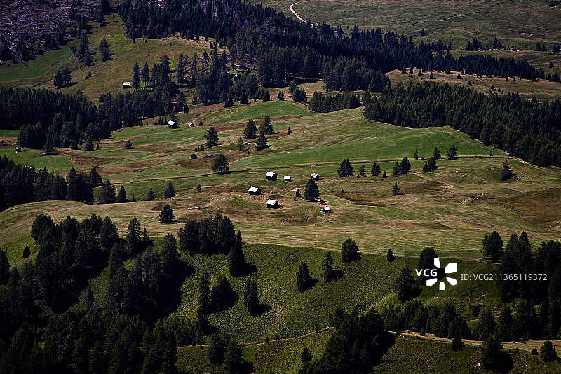意大利田野树木高角度景观图片素材