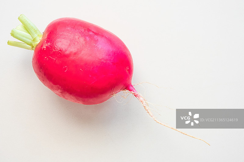 浅灰色背景上的大红色萝卜图片素材